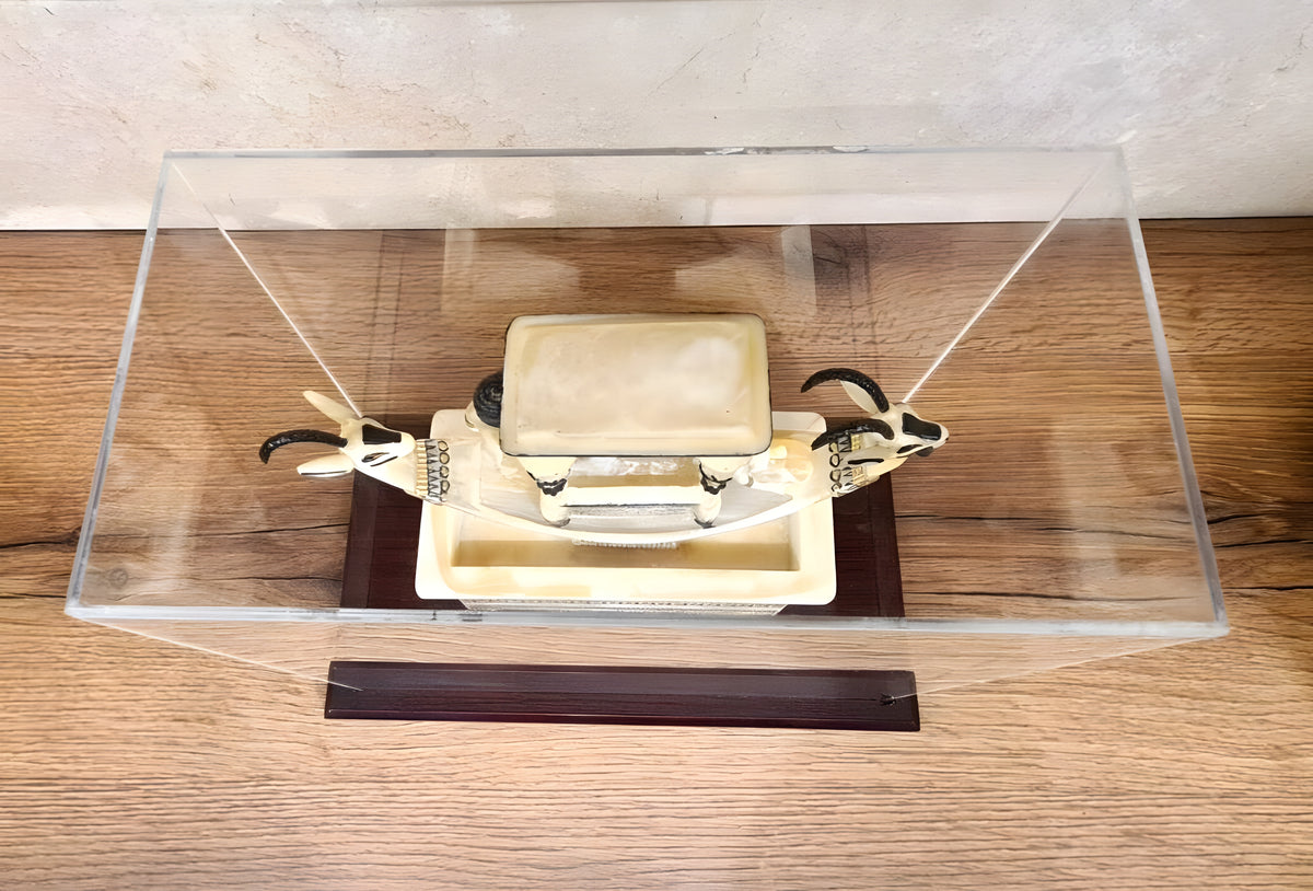 Top view of Tutankhamun ritual basin showing boat carving detail