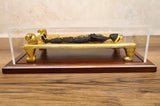 Egyptian Mummy Displayed on Lion-Form Mummification Bed