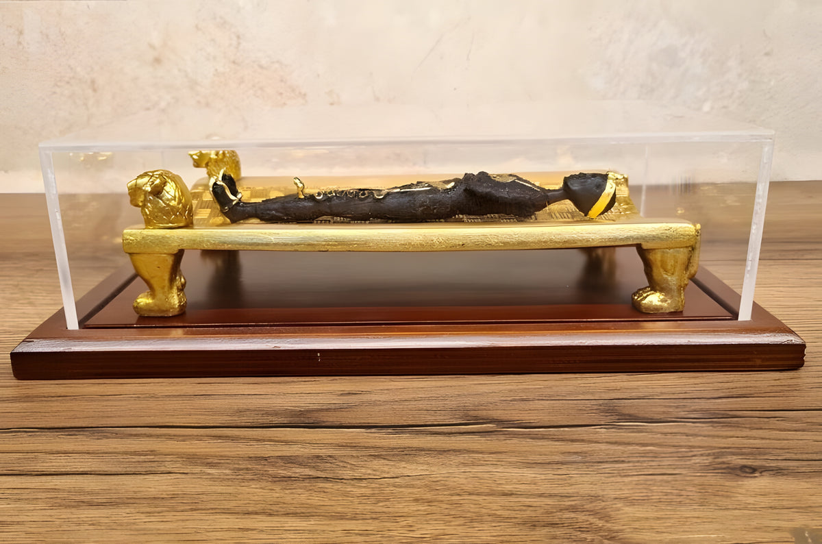 Egyptian Mummy Displayed on Lion-Form Mummification Bed