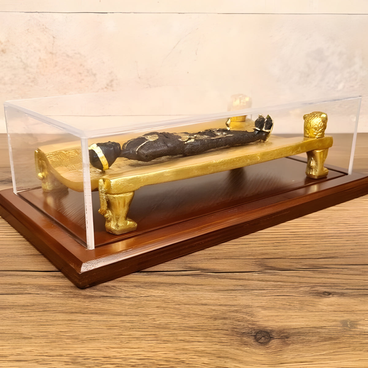 Egyptian Mummy Displayed on Lion-Form Mummification Bed