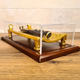 Egyptian Mummy Displayed on Lion-Form Mummification Bed