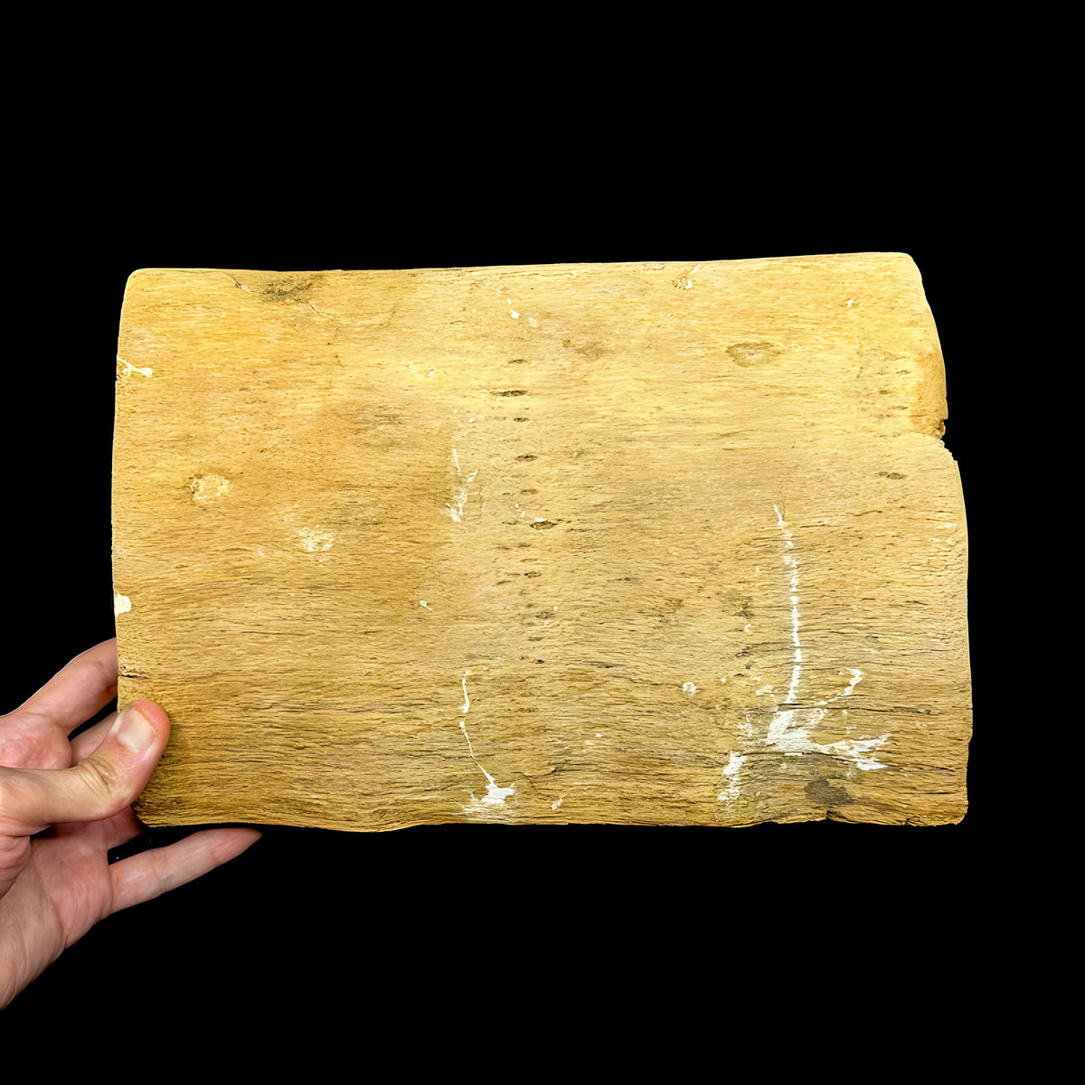 Side view of hand-carved wooden tablet replica