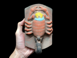 Egyptian Scorpion King museum reproduction stone statue, front view