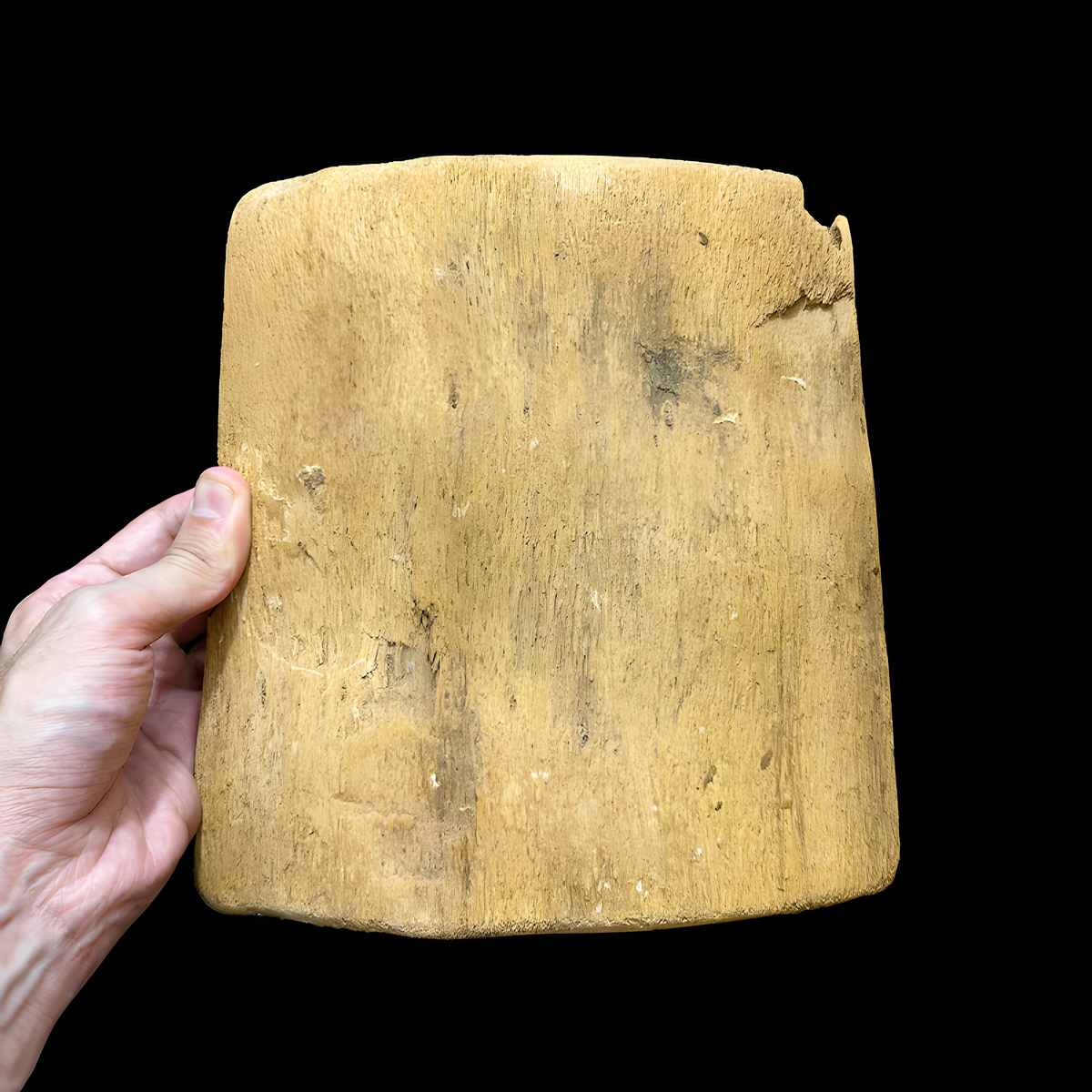 Apis Bull wooden tablet shown hanging on wall, museum reproduction