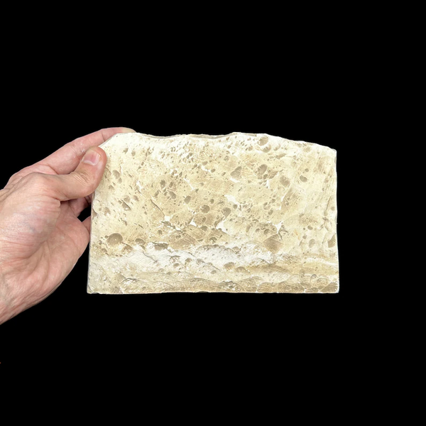 Rare 50-Year-Old Egyptian Stone Tablet Depicting Ancient Daily Life